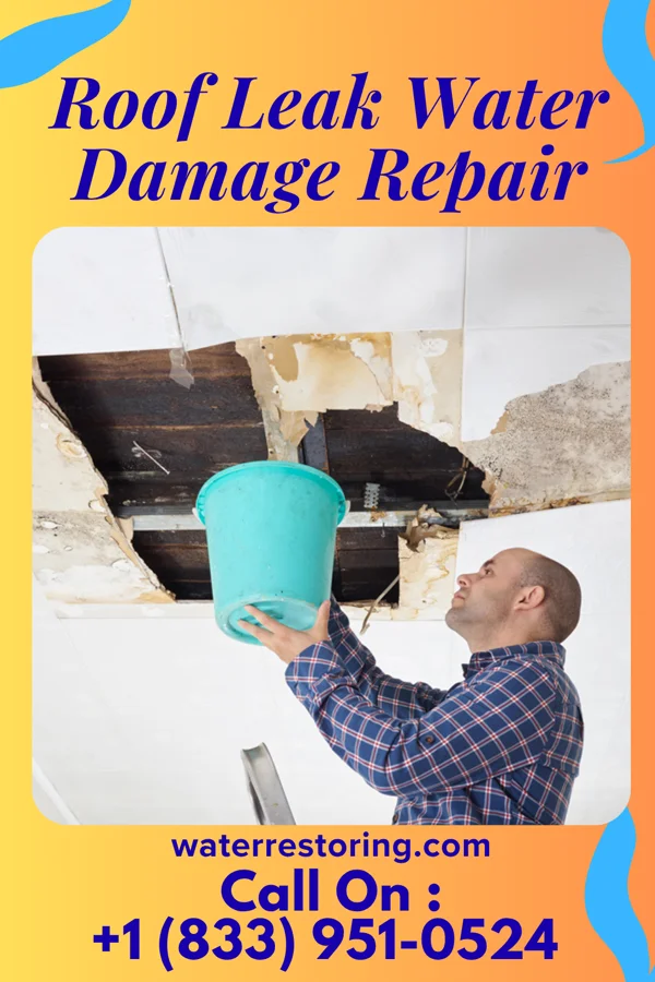 Roof Leak Water Damage Repair in Booker, TX